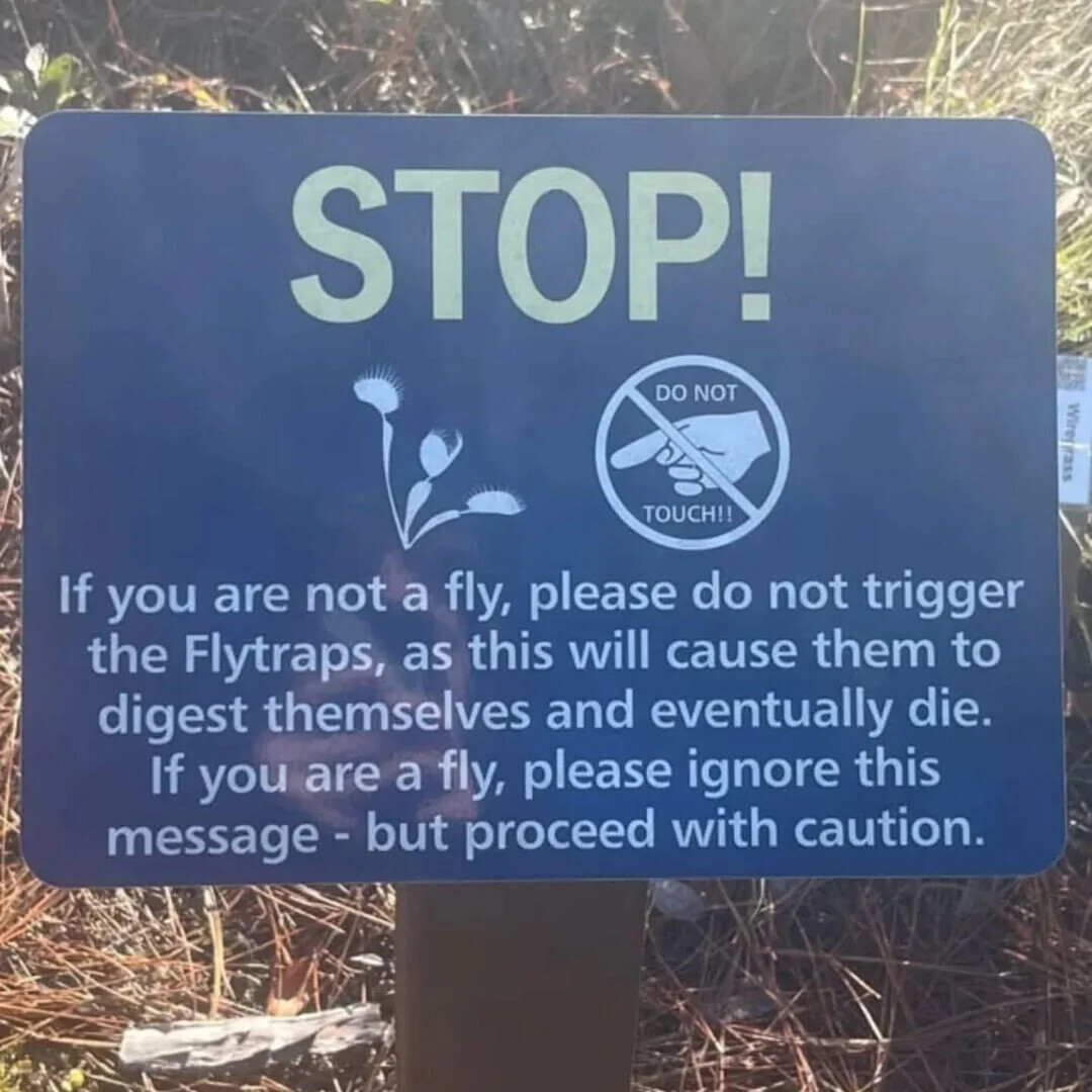 STOP! DO NOT TOUCH!! If you are not a fly, please do not trigger the Flytraps, as this will cause them to digest themselves and eventually die. If you are a fly, please ignore this message - but proceed with caution.