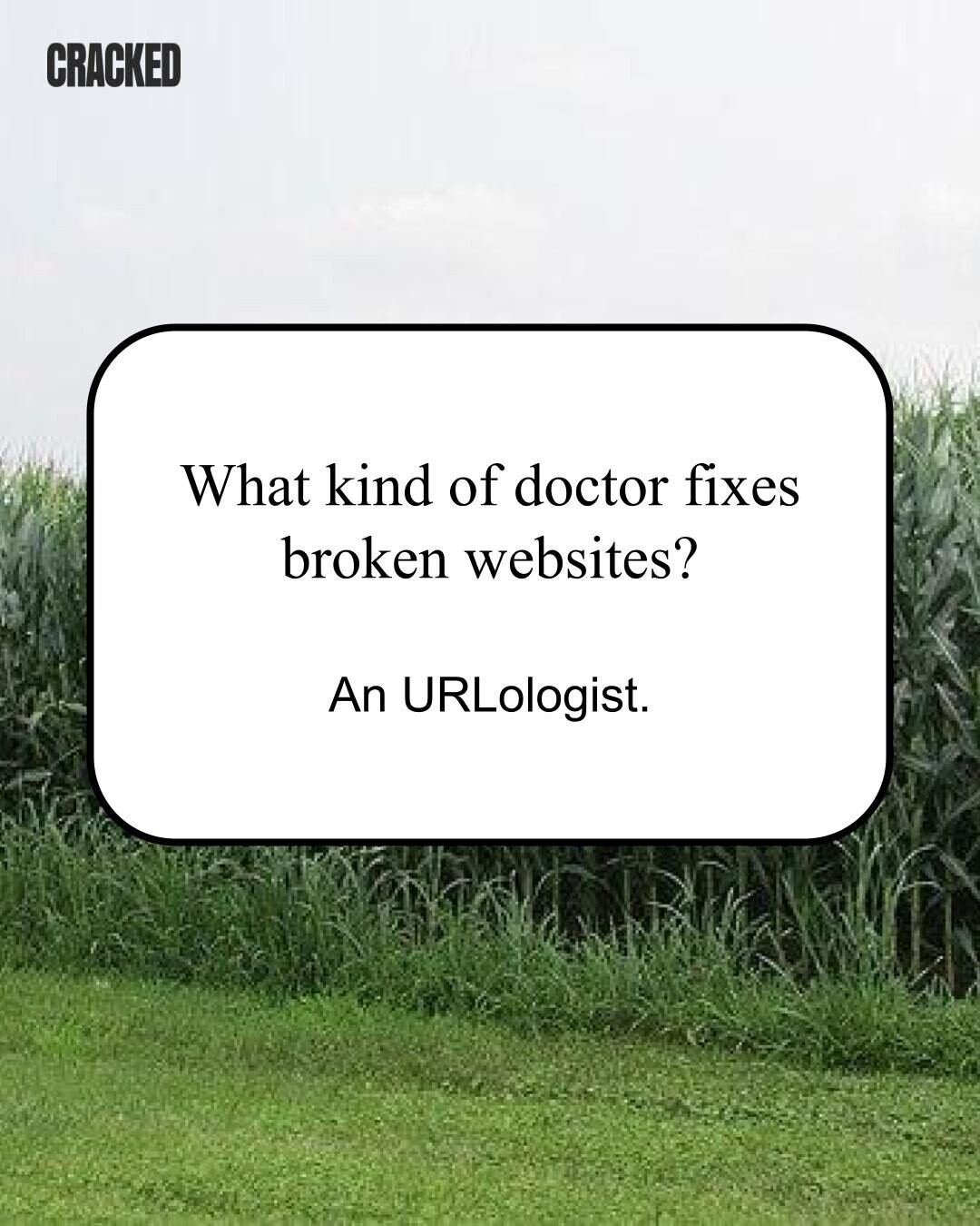 CRACKED What kind of doctor fixes broken websites? An URLologist. 