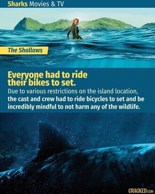 Sharks Movies & TV The Shallows Everyone had to ride their bikes to set. Due to various restrictions on the island location, the cast and crew had to ride bicycles to set and be incredibly mindful to not harm any of the wildlife. CRACKED.COM