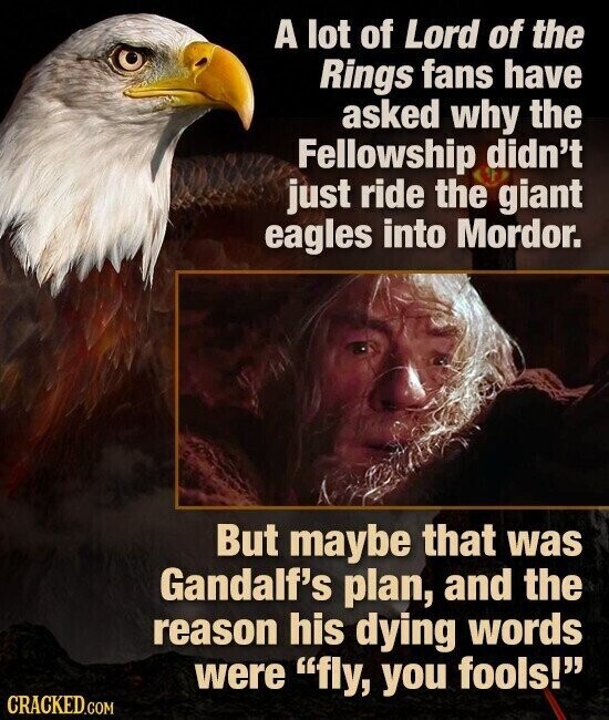 A lot of Lord of the Rings fans have asked why the Fellowship didn't just ride the giant eagles into Mordor. But maybe that was Gandalf's plan, and the reason his dying words were fly, you fools! CRACKED.COM