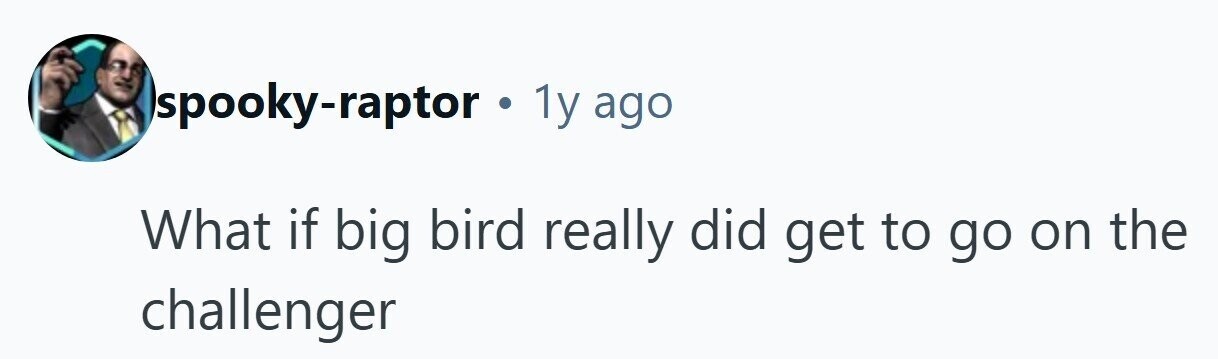 spooky-raptor . 1y ago What if big bird really did get to go on the challenger