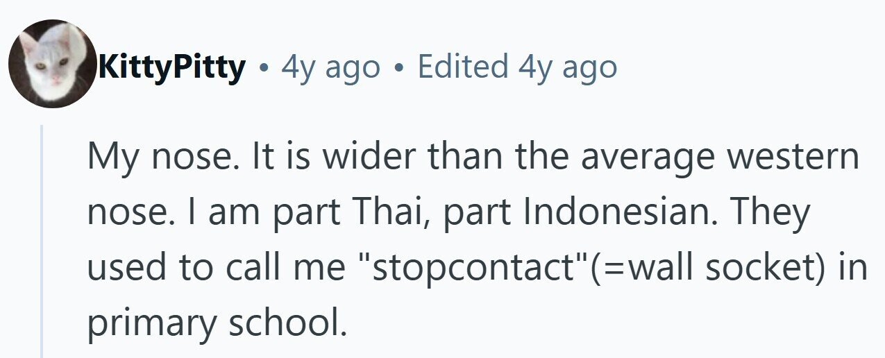 KittyPitty . 4y ago . Edited 4y ago My nose. It is wider than the average western nose. I am part Thai, part Indonesian. They used to call me stopcontact(=wall socket) in primary school.