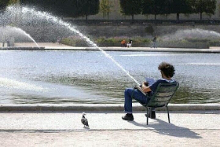 Photos That Look Peaceful Until You Zoom In