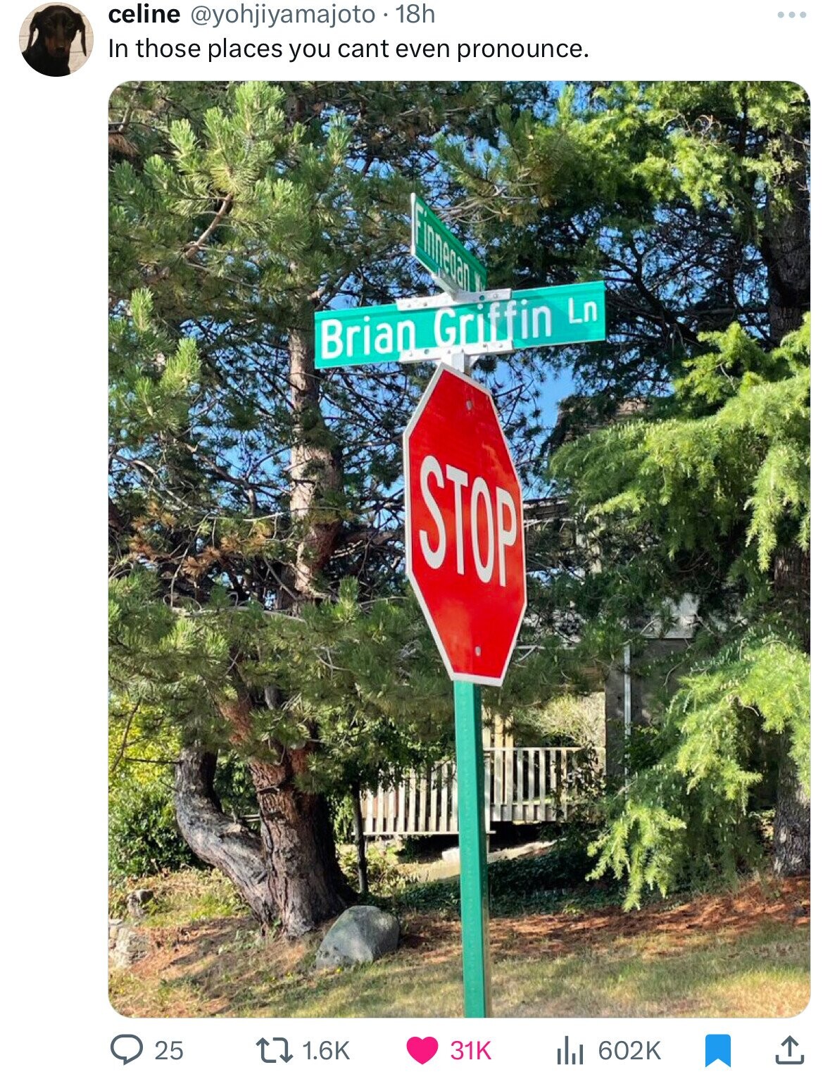 celine @yohjiyamajoto 18h ... In those places you cant even pronounce. Finnedan Brian Griffin Ln STOP 602K 25 1.6K 31K