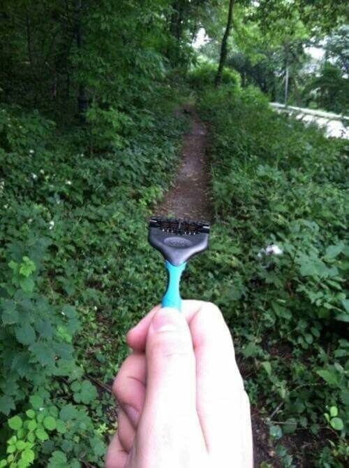 Photos That Look Peaceful Until You Zoom In