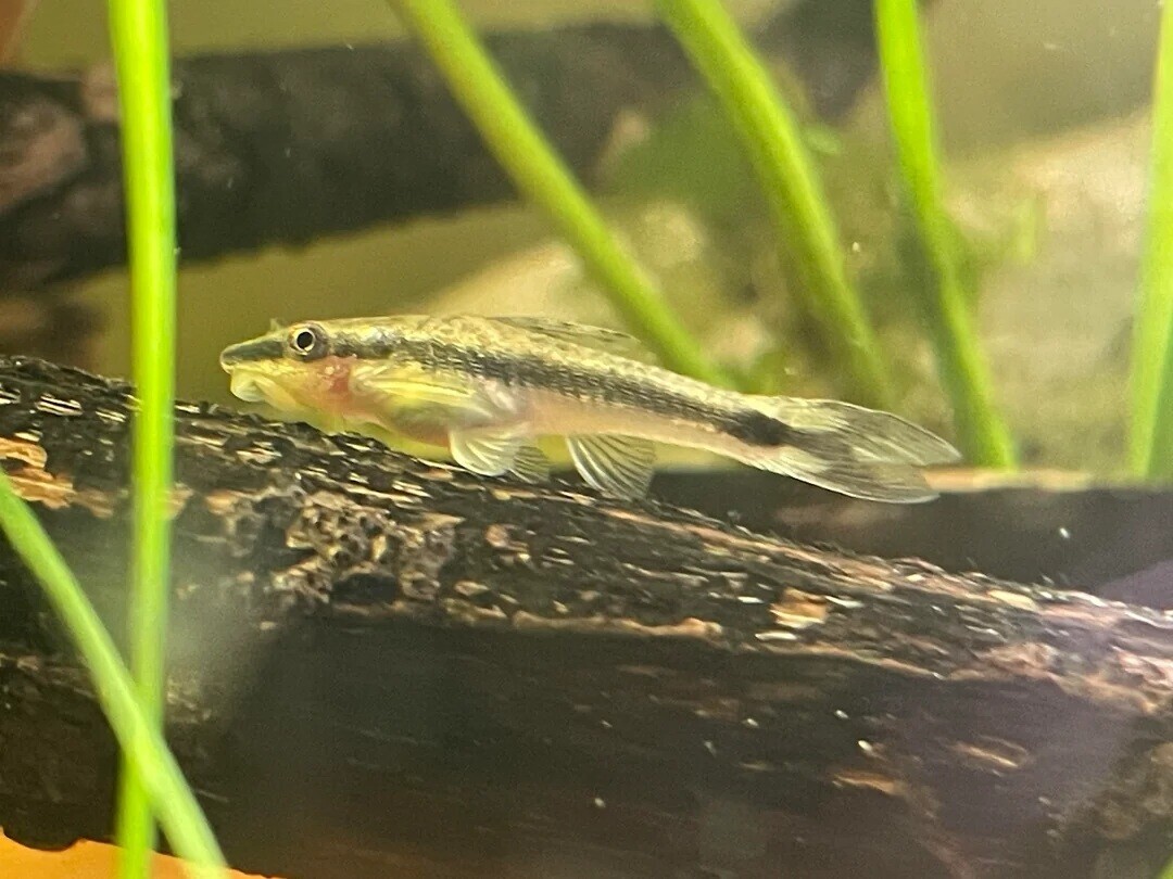 20 Times the Nerds Won Naming Rights Over Marketing