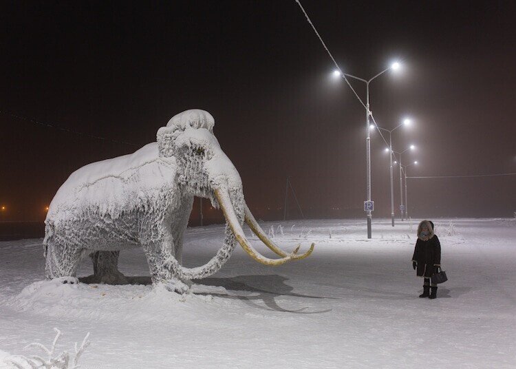 Photos of the Concrete Jungle as a Winter Wonderland