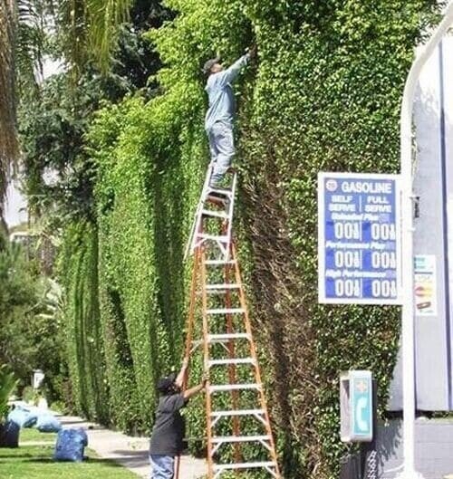 no GASOLINE SELF FULL SERVE SERVE Fibra 001 001 Performantes Mair 008 001 High Performance 00 00 С