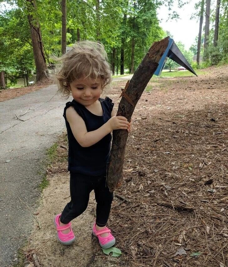 Photos That Look Peaceful Until You Zoom In