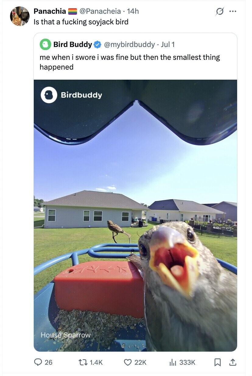 Panachia @Panacheia 14h s ... Is that a fucking soyjack bird Bird Buddy @mybirdbuddy - Jul 1 me when i swore i was fine but then the smallest thing happened Birdbuddy House Sparrow 26 1.4K 22K 333K