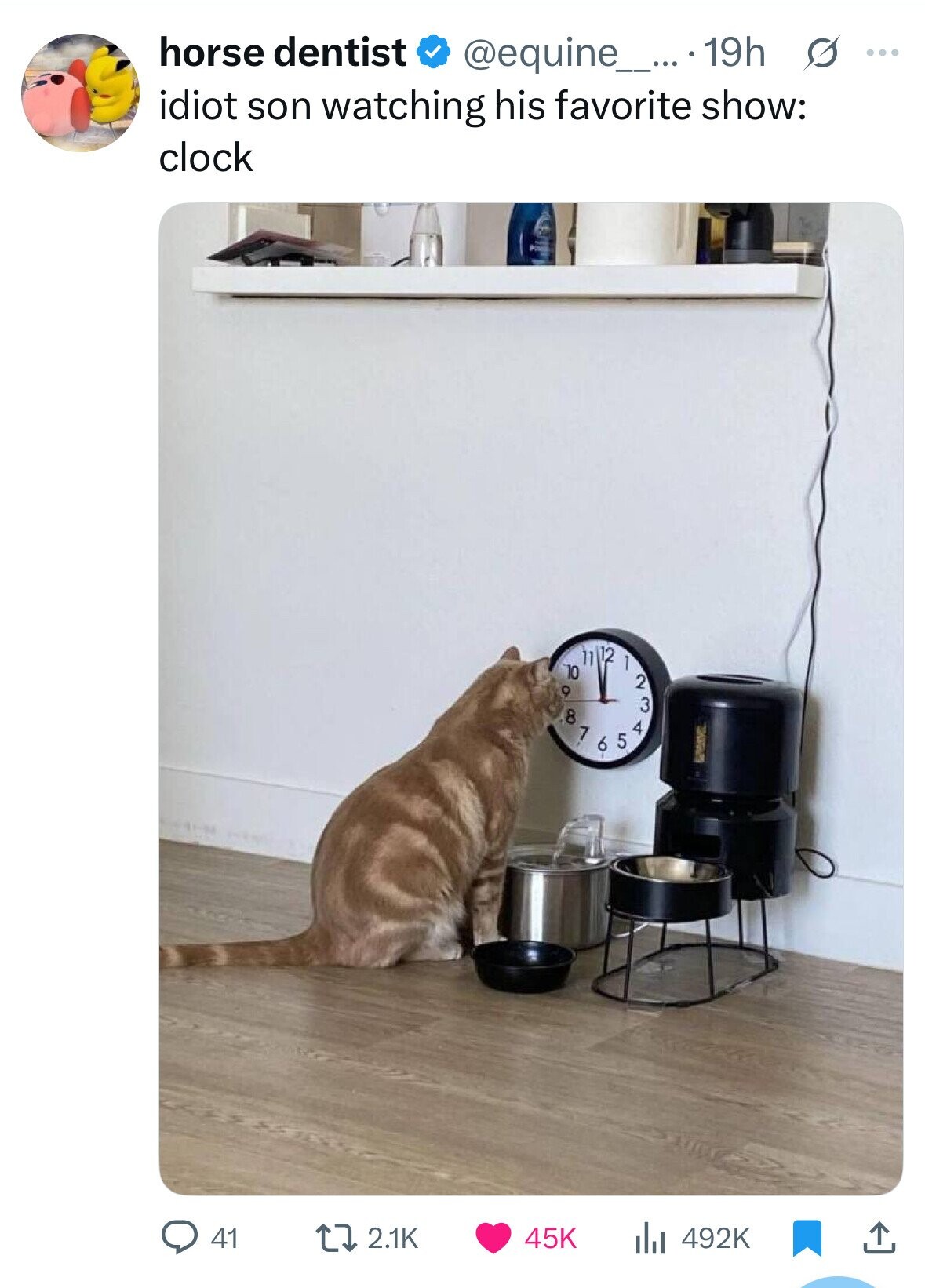 horse dentist @equine_... 19h s ... idiot son watching his favorite show: clock 11 12 10 O 8 7 6 5 1 4 2 3 2.1K 45K 41 492K