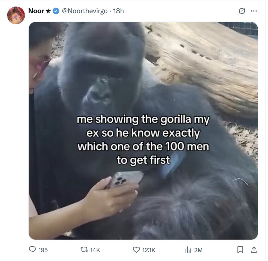 Noor s @Noorthevirgo 18h ... me showing the gorilla my ex so he know exactly which one of the 100 men to get first 195 14K 123K del 2M