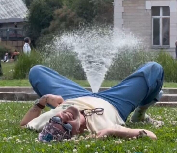 Photos That Look Peaceful Until You Zoom In