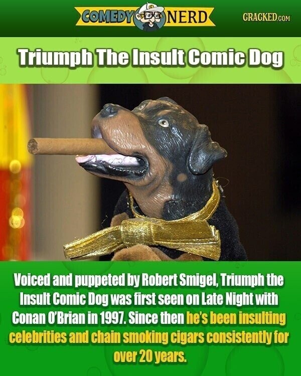 COMEDY NERD CRACKED.COM Triumph The Insult Comic Dog Voiced and puppeted by Robert Smigel, Triumph the Insult Comic Dog was first seen on Late Night with Conan O'Brian in 1997. Since then he's been insulting celebrities and chain smoking cigars consistently for over 20 years.