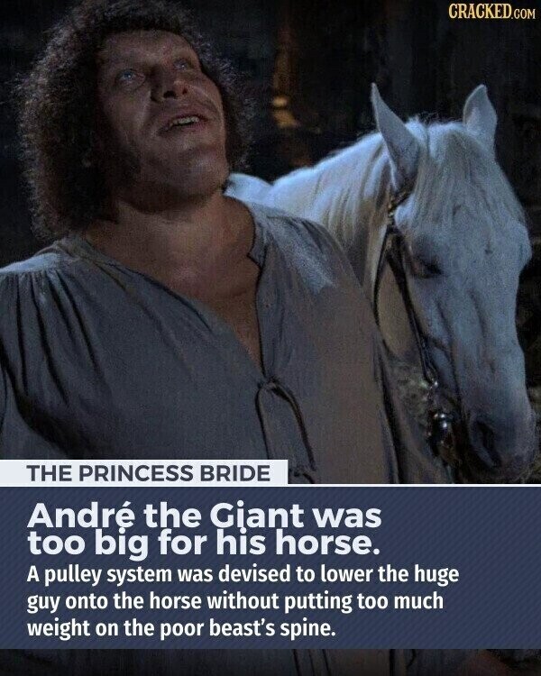 CRACKED.COM THE PRINCESS BRIDE André the Giant was too big for his horse. A pulley system was devised to lower the huge guy onto the horse without putting too much weight on the poor beast's spine.