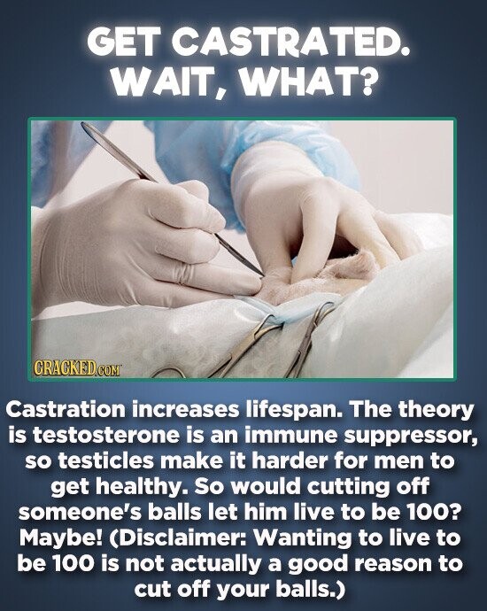 GET CASTRATED. WAIT, WHAT? CRACKEDCOR Castration increases lifespan. The theory is testosterone is an immune suppressor, so testicles make it harder for men to get healthy. So would cutting off someone's balls let him live to be 100? Maybe! (Disclaimer: Wanting to live to be 100 is not actually a