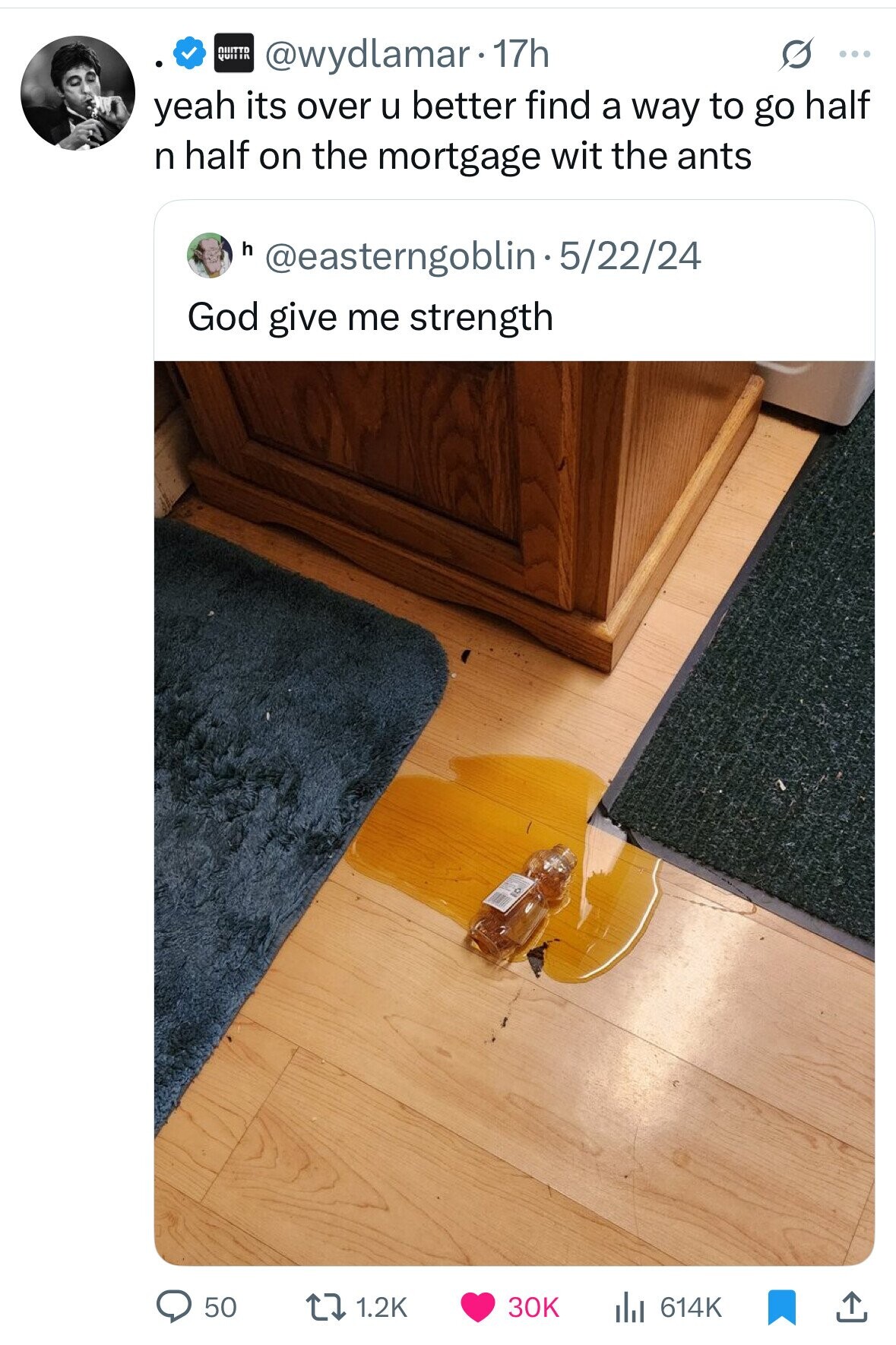 QUITTD QUITIR @wydlamar. 17h s ... yeah its over u better find a way to go half n half on the mortgage wit the ants h @easterngoblin-5/22/24 God give me strength 50 1.2K 30K 614K 