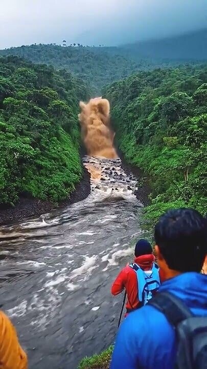 Photos That Look Peaceful Until You Zoom In