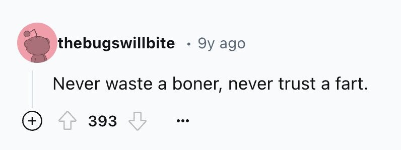 thebugswillbite 0 9y ago Never waste a boner, never trust a fart. + 393 ...