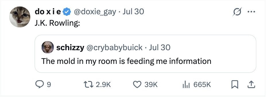 do xie @doxie_gay Jul 30 G ... J.K. Rowling: schizzy @crybabybuick - Jul 30 The mold in my room is feeding me information 9 2.9K 39K 665K