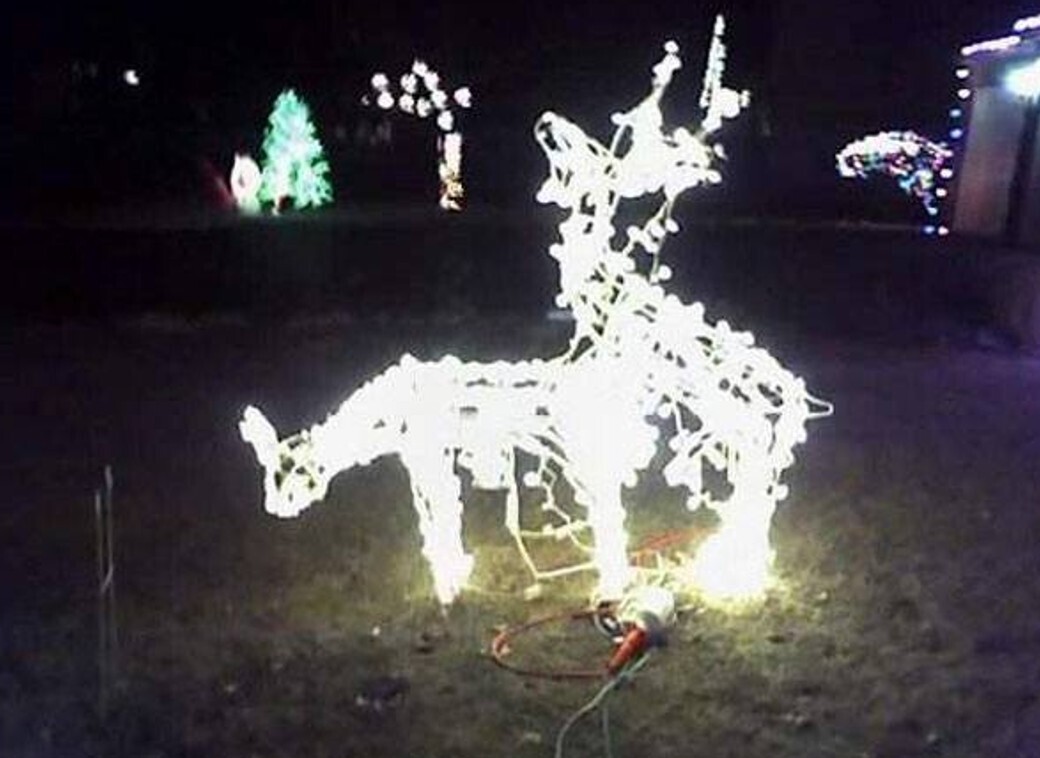 20 Photos Showing Christmas if the Grinch Ran It