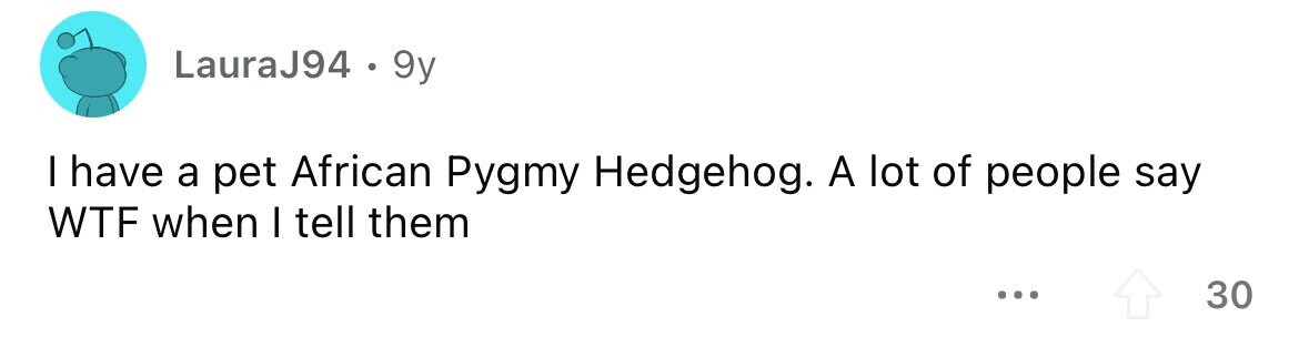 LauraJ94 . 9y I have a pet African Рудту Hedgehog. A lot of people say WTF when I tell them ... 30