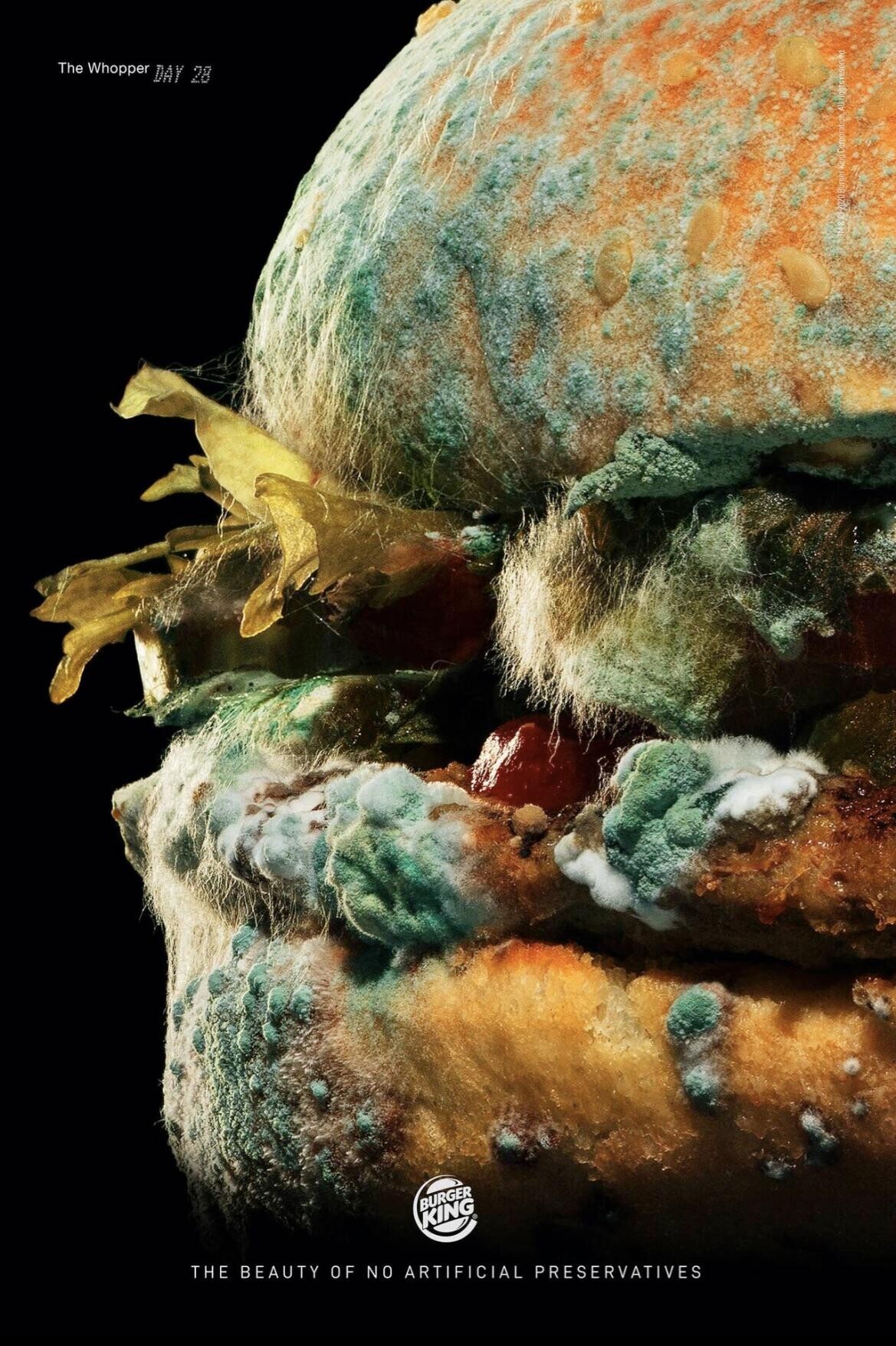 The Whopper DAY 28 King Corporation THE BEAUTY OF NO ARTIFICIAL PRESERVATIVES BURGER KING