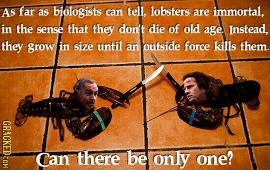 As far as biologists can tell, lobsters are immortal, in the sense that they don't die of old age. Instead, they grow in size until an outside force kills them. CRACKED.COM Can there be only one?