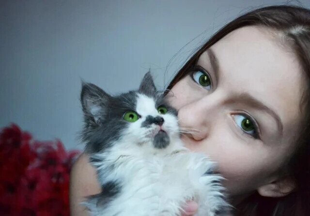 Photos That Look Peaceful Until You Zoom In