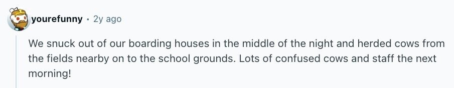yourefunny 2y ago We snuck out of our boarding houses in the middle of the night and herded cows from the fields nearby on to the school grounds. Lots of confused cows and staff the next morning!