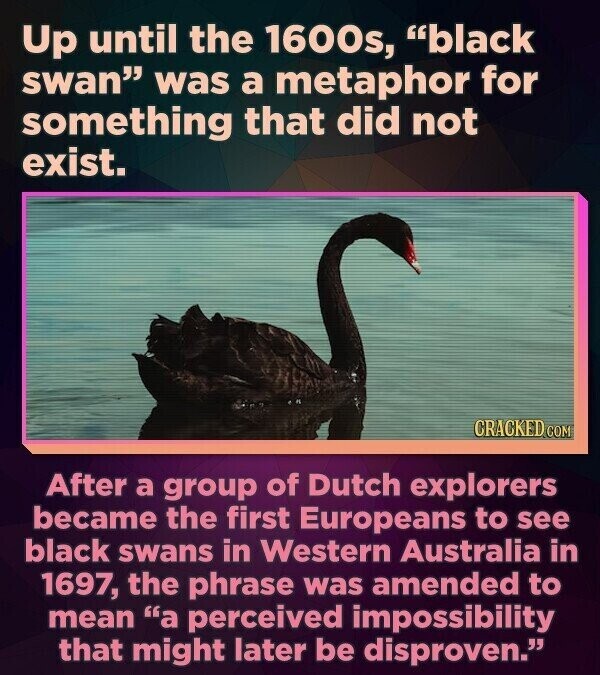 Up until the 1600s, black swan was a metaphor for something that did not exist. CRACKED COM After a group of Dutch explorers became the first Europeans to see black swans in Western Australia in 1697, the phrase was amended to mean a perceived impossibility that might later be disproven.