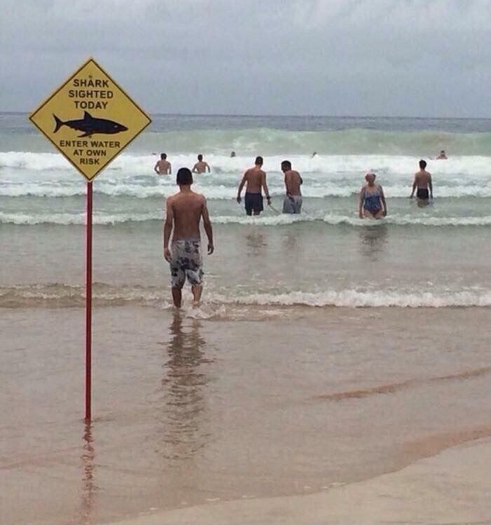 SHARK SIGHTED TODAY ENTER WATER AT OWN RISK 