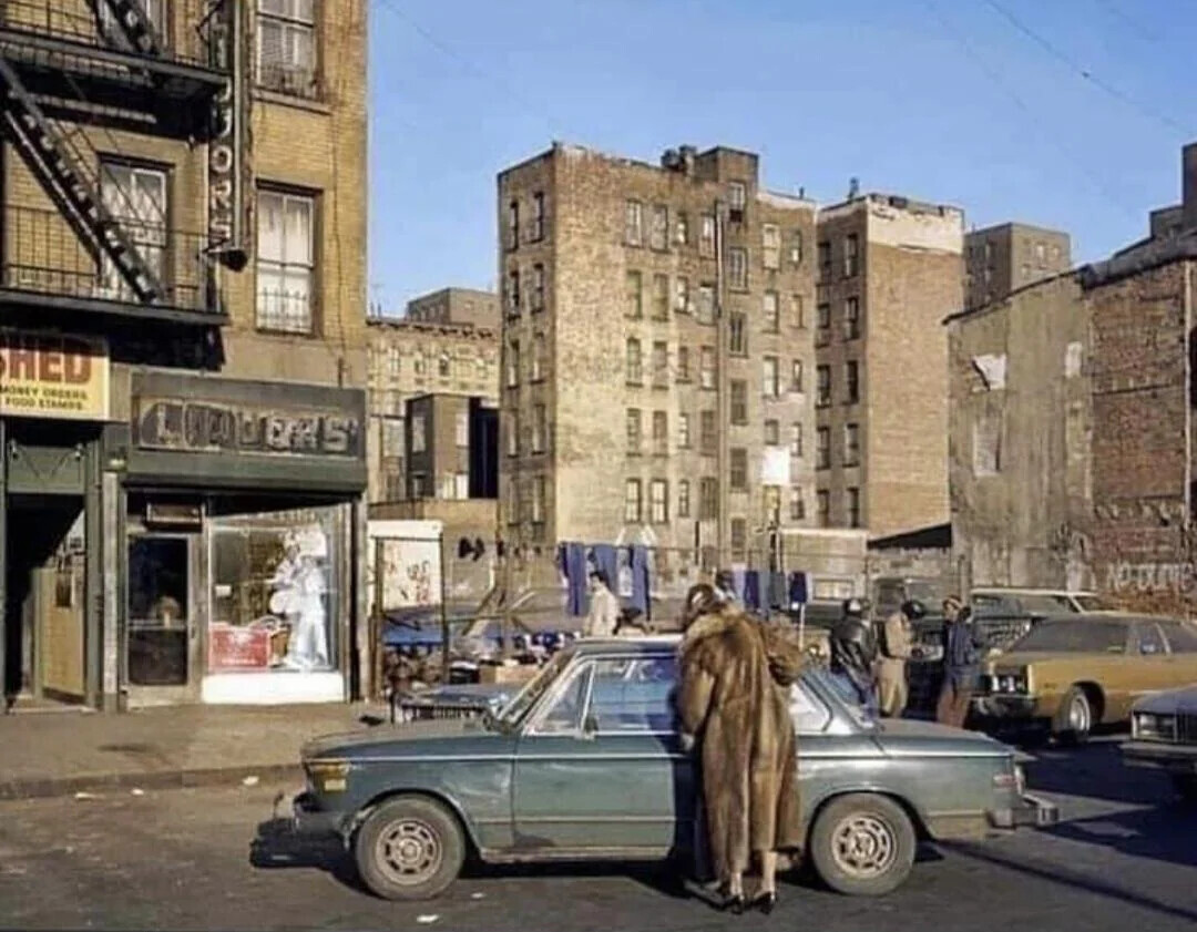 HED MONEY ORGENA FOOD STAMPS LIQUERS