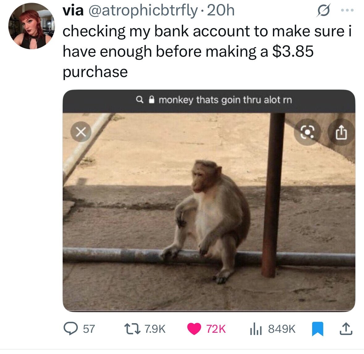 via @atrophicbtrfly 20h ... checking my bank account to make sure i have enough before making a $3.85 purchase monkey thats goin thru alot rn X 57 7.9K 72K 849K