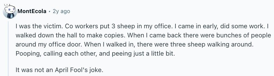 MontEcola . 2y ago I was the victim. Co workers put 3 sheep in my office. I came in early, did some work. I walked down the hall to make copies. When | came back there were bunches of people around my office door. When I walked in, there were three sheep walking around. Pooping, calling each other, and peeing just a little bit. It was not an April Fool's joke.