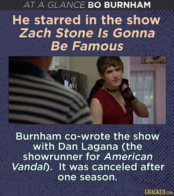 AT A GLANCE ВО BURNHAM Не starred in the show Zach Stone Is Gonna Be Famous Burnham co-wrote the show with Dan Lagana (the showrunner for American Vandal). It was canceled after one season. CRACKED.COM