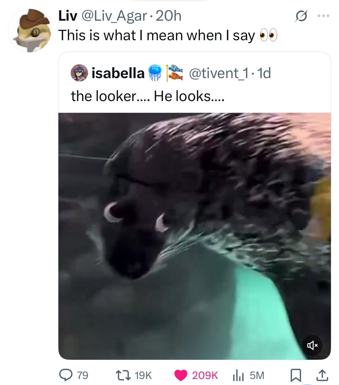 Liv @Liv_Agar 20h S ... This is what I mean when I say isabella @tivent_1.1d the looker.... Не looks.... 79 19K 209K 5M 