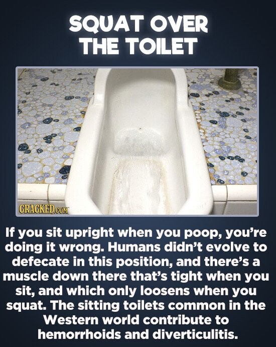 SQUAT OVER THE TOILET If you sit upright when you poop, you're doing it wrong. Humans didn't evolve to defecate in this position, and there's a muscle down there that's tight when you sit, and which only loosens when you squat. The sitting toilets common in the Western world