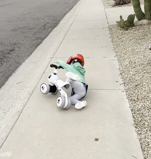 Photos Showing That What Goes Up Must Come Down