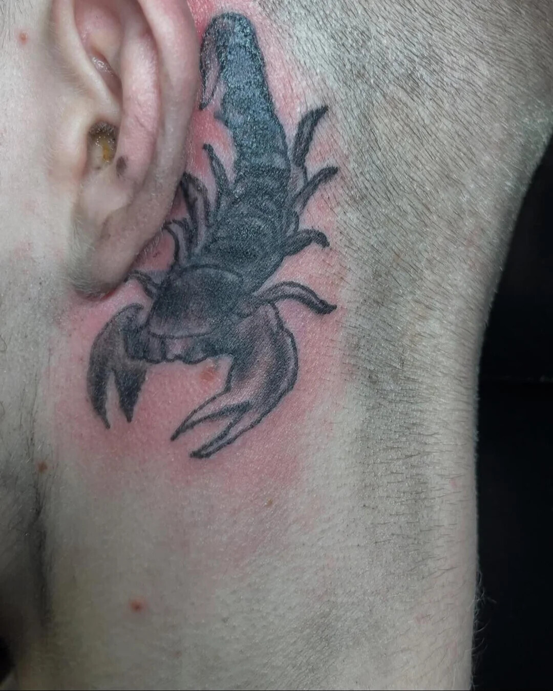 ‘Cute’ Tattoos That Turned Out to Be Anything But