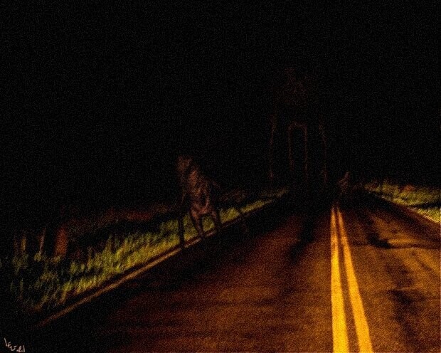 Very Strange Things That Happened To Ordinary People