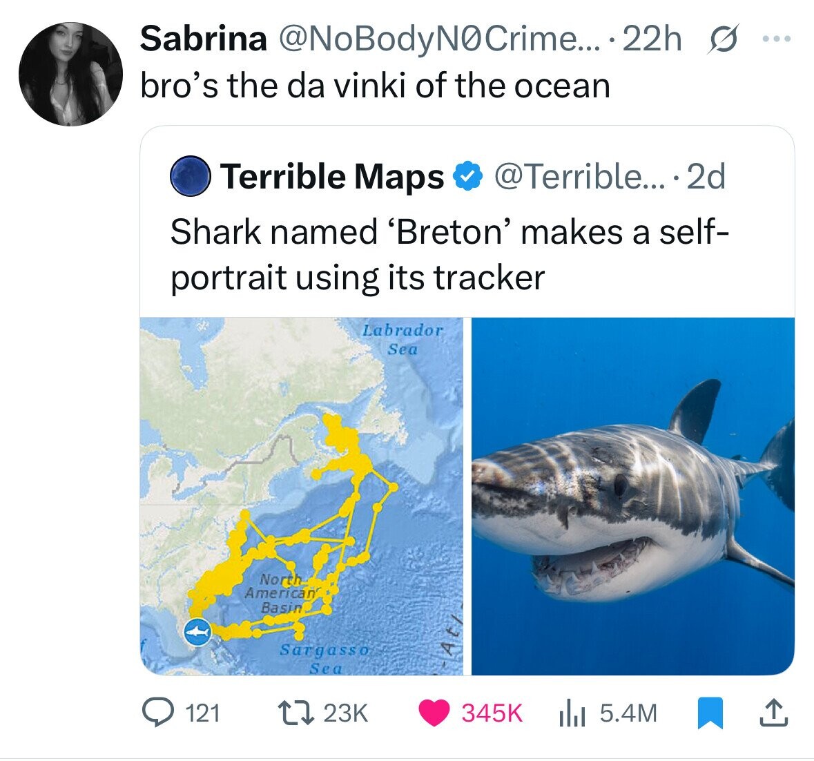 Sabrina @NoBodyN0Crime... .22h s ... bro's the da vinki of the ocean Terrible Maps @Terrible... 2d Shark named 'Breton' makes a self- portrait using its tracker Labrador Sea No rth American Basin Sargasso A Sea 23K 121 345K 5.4M 