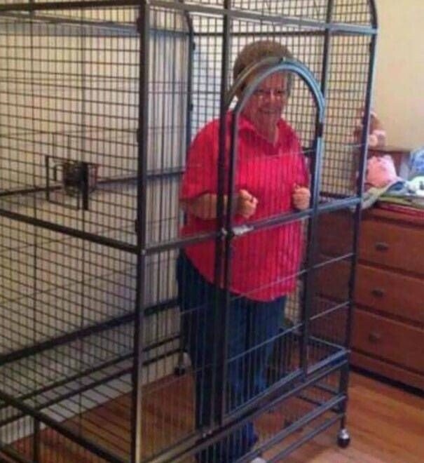 People Who Probably Shouldn't Be Left Unsupervised