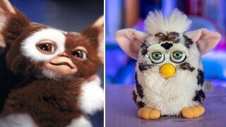 29 Random Bits of Trivia Some Kids Wrote Into Wet Cement Outside of Our Apartment in the Middle of the Night