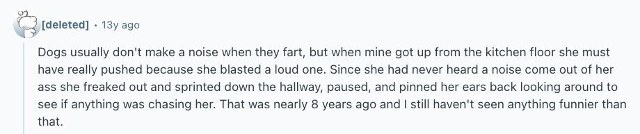  13y ago Dogs usually don't make a noise when they fart, but when mine got up from the kitchen floor she must have really pushed because she blasted a loud one. Since she had never heard a noise come out of her ass she freaked out and sprinted down the hallway, paused, and pinned her ears back looking around to see if anything was chasing her. That was nearly 8 years ago and I still haven't seen anything funnier than that. 