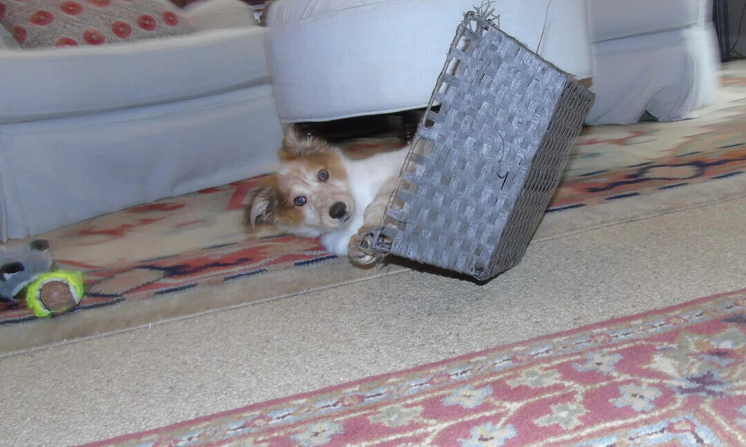 Photos That Get Stranger the Closer You Look