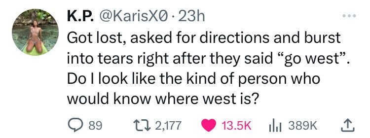 K.P. @KarisX0.23h Got lost, asked for directions and burst into tears right after they said go west. Do I look like the kind of person who would know where west is? 89 2,177 13.5K 389K