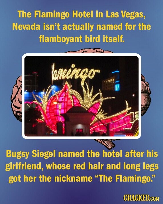The Flamingo Hotel in Las Vegas, Nevada isn't actually named for the flamboyant bird itself. Yamingo Bugsy Siegel named the hotel after his girlfriend, whose red hair and long legs got her the nickname The Flamingo. CRACKED.COM