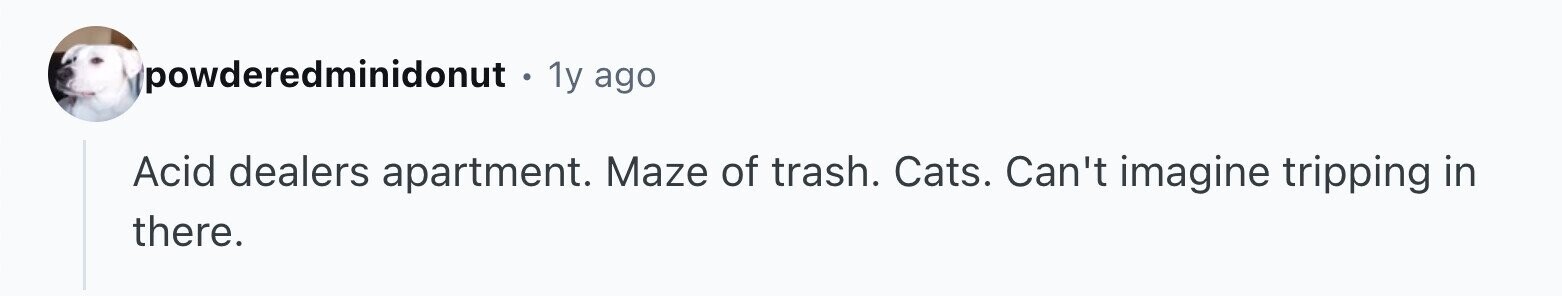 powderedminidonut . . 1y ago Acid dealers apartment. Maze of trash. Cats. Can't imagine tripping in there.