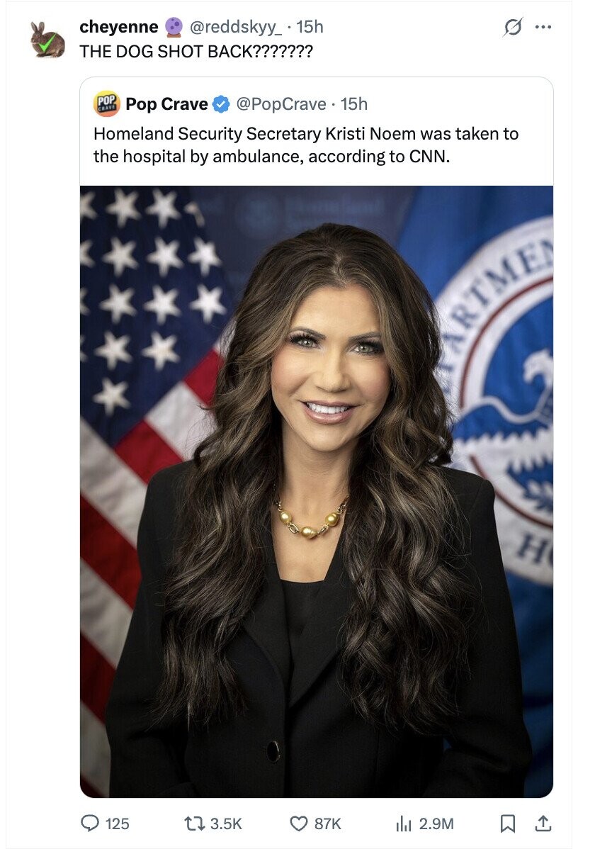 S cheyenne @reddskyy_ 15h ... THE DOG SHOT BACK??????? POP CRAVE Pop Crave @PopCrave.15h Homeland Security Secretary Kristi Noem was taken to the hospital by ambulance, according to CNN. MARTMEN H 125 3.5K 87K del 2.9M
